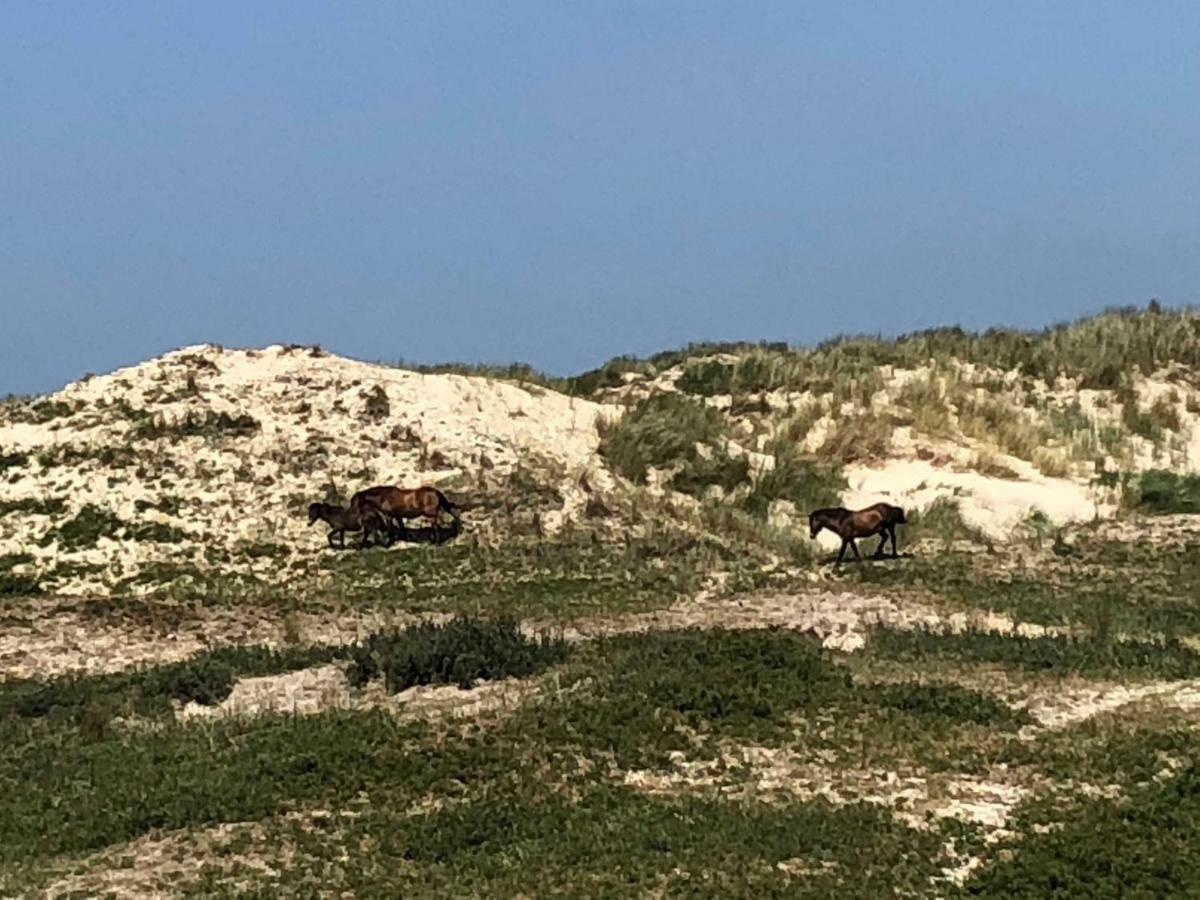 Ferienhaus Glücklich am Meer für 6 Personen Egmond aan Zee Exterior foto